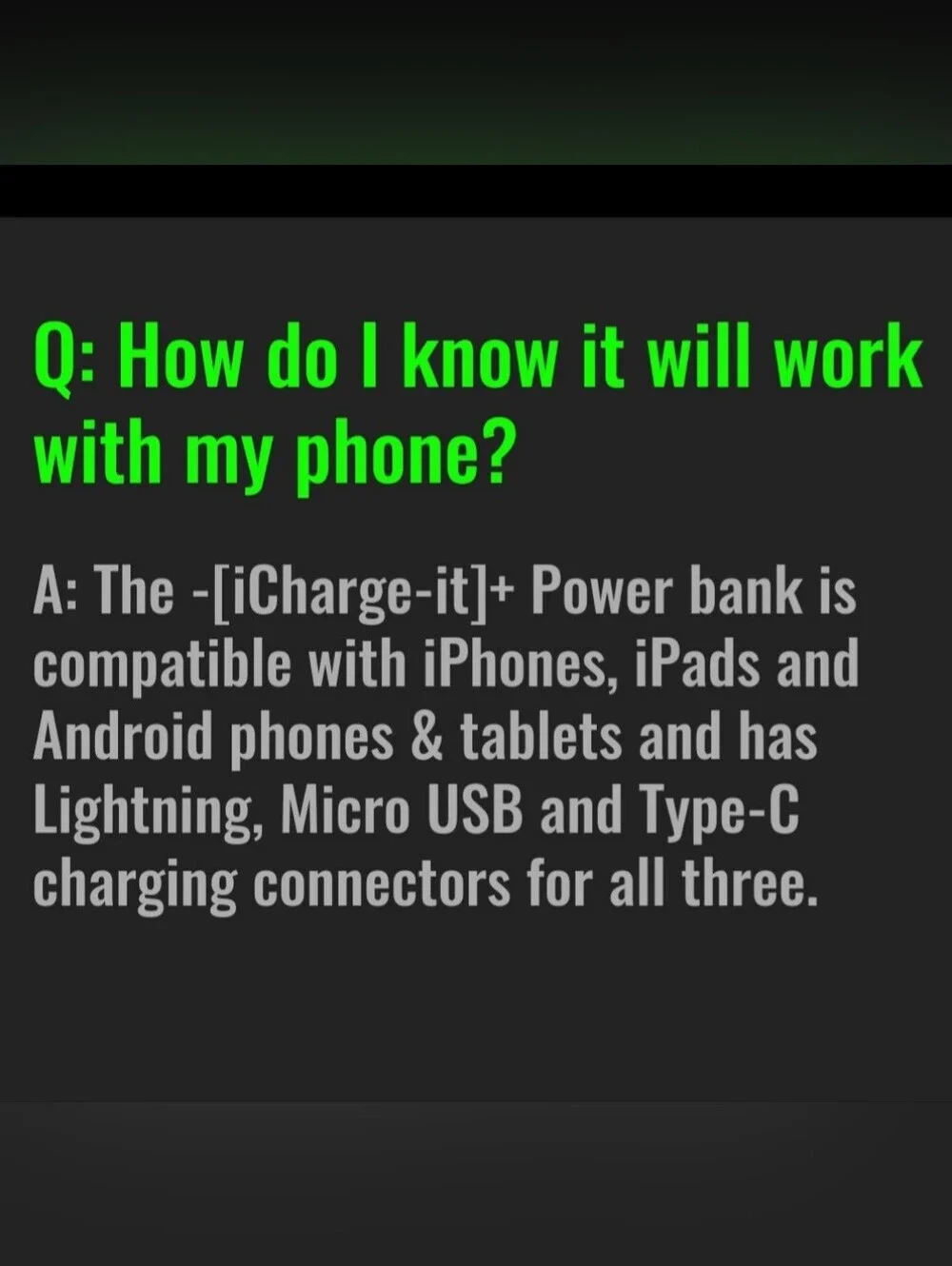 Power Bank With Gecko Charm iPhone Android Cell Phone